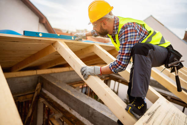 Best Roof Gutter Cleaning  in Morton, MS