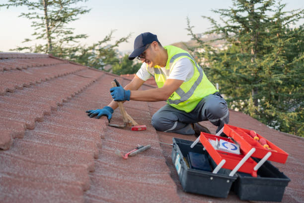 Best Roof Repair Services  in Morton, MS